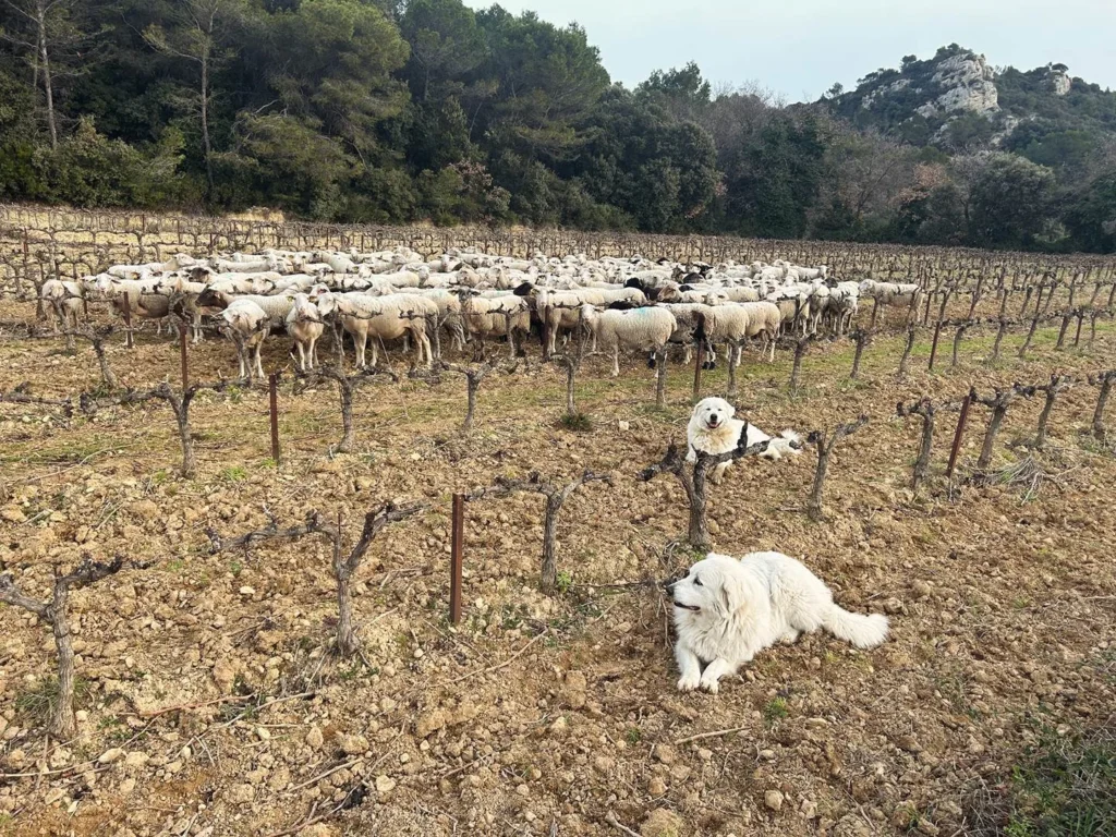 Un Grain de Folie - Salle - Bagnols sur ceze